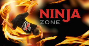 Ninja-zone-for-website2